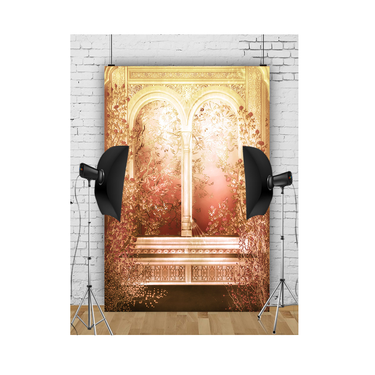 Indoor Stage Gradient Tones Ha - Photography Lighting For Portraits 评论和价格