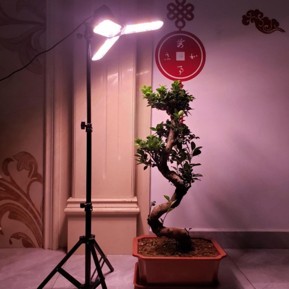 Light Bulb Stand 2M, E27 AC So - Lighting In Photography Studio 评论和价格