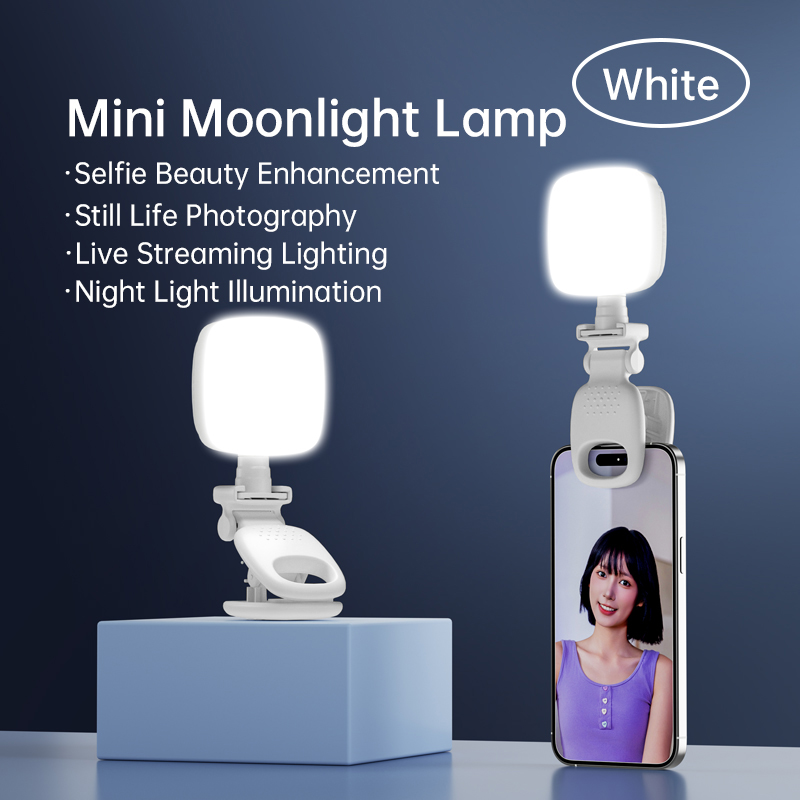 Portable Clip On Mini LED Self - Photography Lighting Handheld 评论和价格