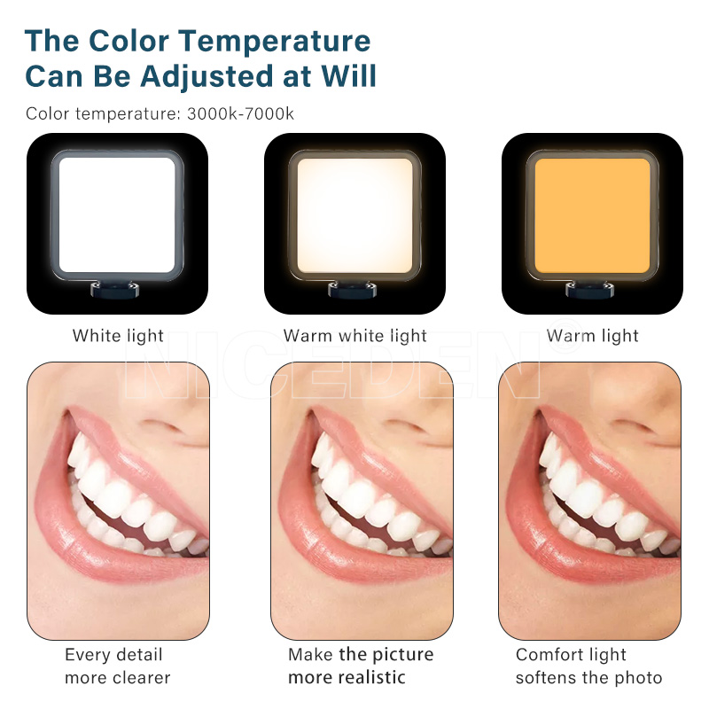 Niceden Dental portable Flash  - Photography Lighting Handheld 评论和价格