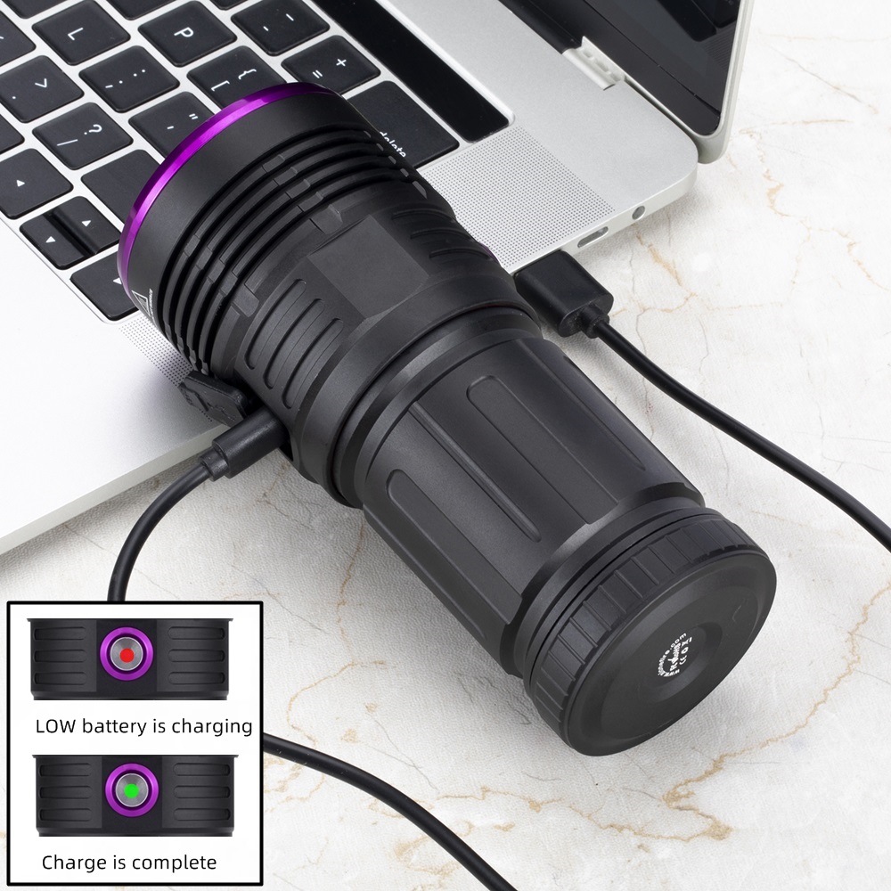 80W 365nm UV Flashlight Ultrav - Photography Lighting For Food 评论和价格