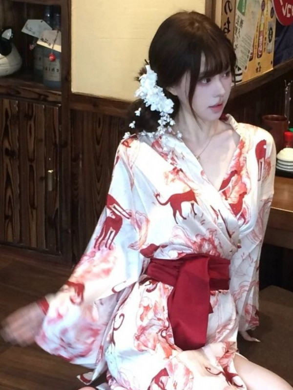 New Chinese Style Sleepwear Ha - Photography Lighting Styles 评论和价格