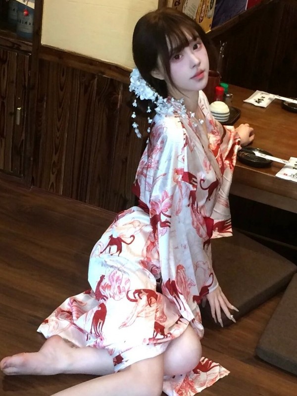New Chinese Style Sleepwear Ha - Photography Lighting Styles 评论和价格