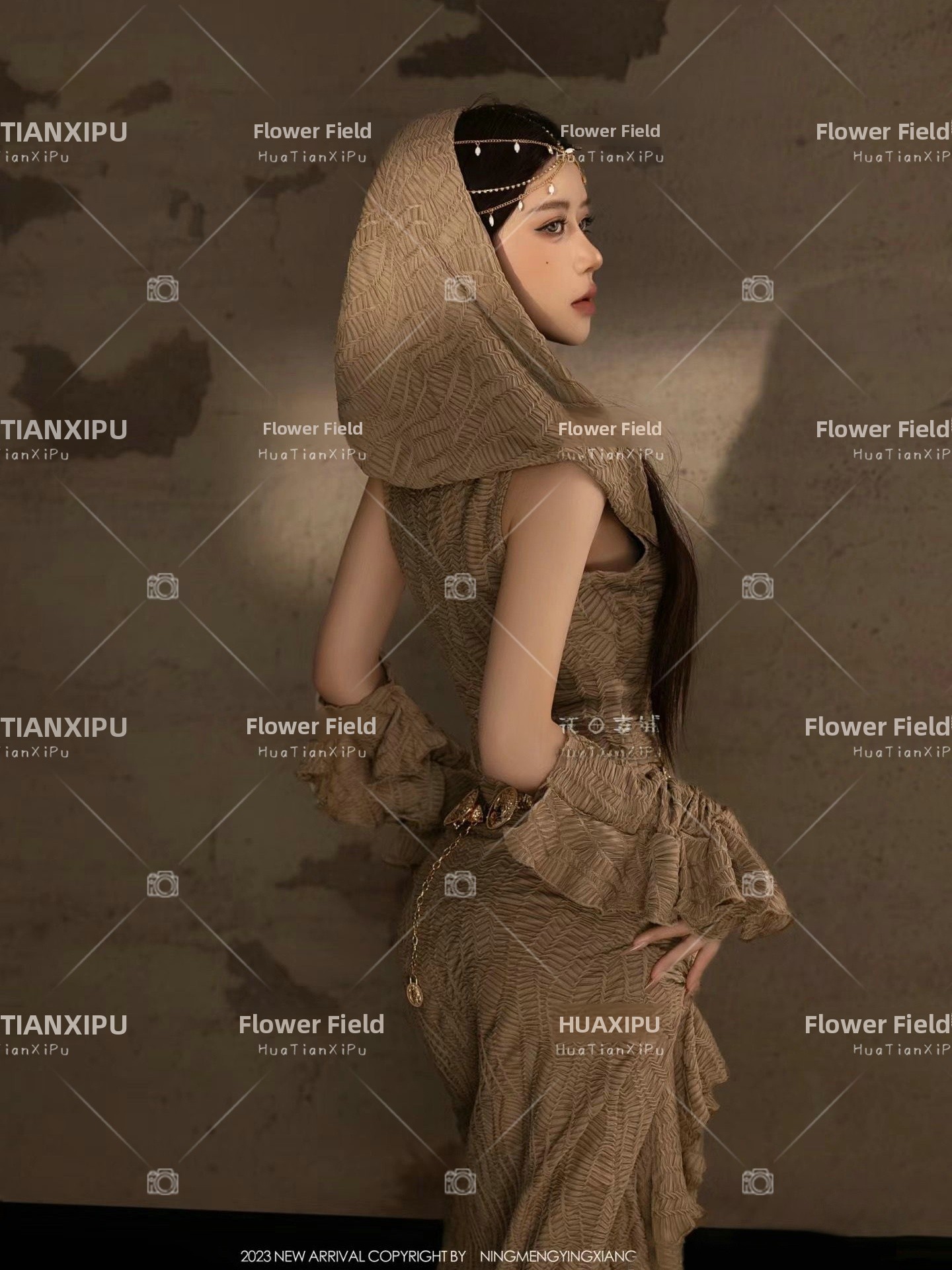 New Desert  Princess Style Pho - Photography Lighting Styles 评论和价格